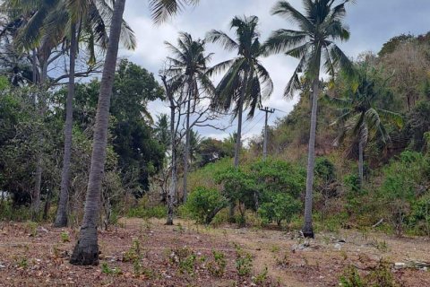 Земельный участок 27200м2 в № 8713 25