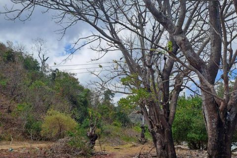 Земельный участок 27200м2 в № 8713 26