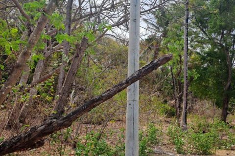 Земельный участок 27200м2 в № 8713 20