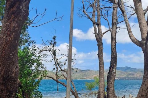 Земельный участок 27200м2 в № 8713 23