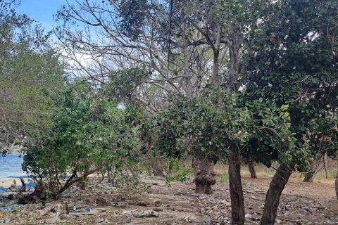 Земельный участок 27200м2 в № 8713 29