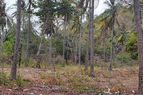 Земельный участок 27200м2 в № 8713 21