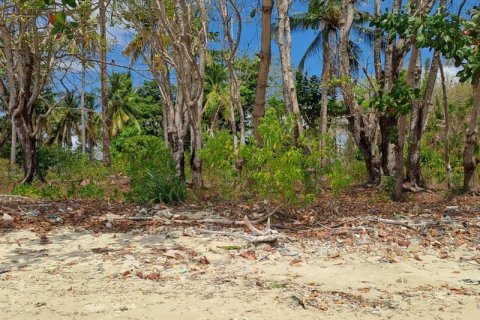 Земельный участок 27200м2 в № 8713 10