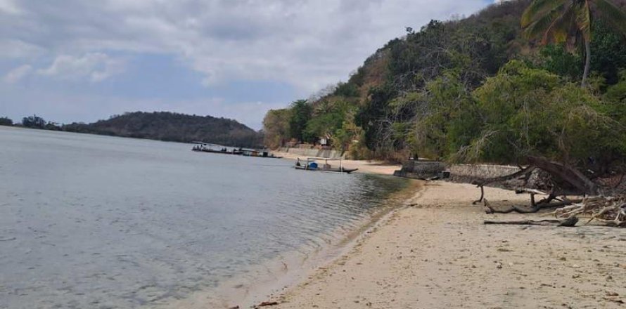 Земельный участок 27200м2 в № 8713