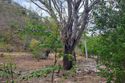 Земельный участок 27200м2 в № 8713 24