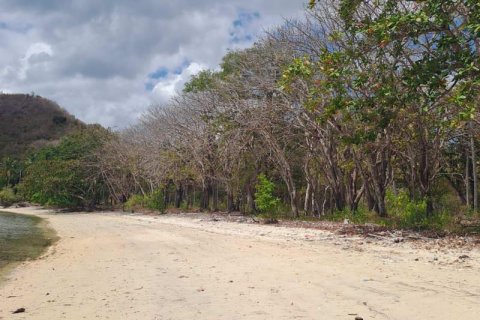 Земельный участок 27200м2 в № 8713 11