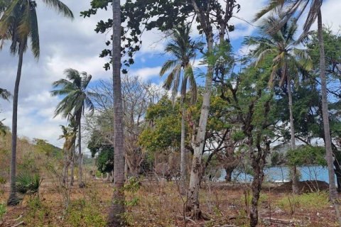 Земельный участок 27200м2 в № 8713 19