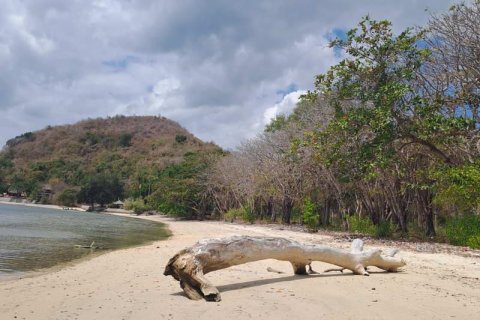 Земельный участок 27200м2 в № 8713 13