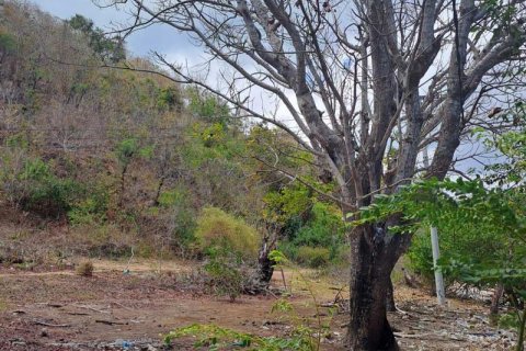 Земельный участок 27200м2 в № 8713 27