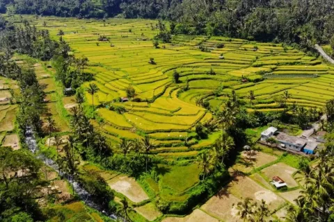 Земельный участок в Karangasem, Карангасем, Индонезия № 10809