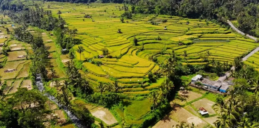 Земельный участок в Karangasem, Карангасем, Индонезия № 10809