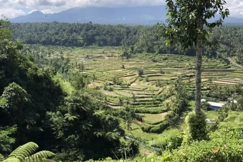 Земельный участок в Karangasem, Карангасем, Индонезия № 10809 3