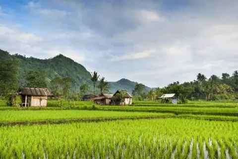 Земельный участок в Karangasem, Карангасем, Индонезия № 10809 2
