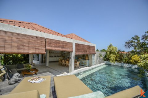12 bedrooms Villa in Seminyak, Badung, Indonesia No. 10811 2