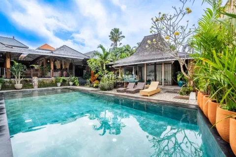 5 bedrooms Villa in Canggu, Badung, Indonesia No. 12373 3