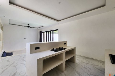 2 bedrooms Villa in Ungasan, Badung, Indonesia No. 10882 11