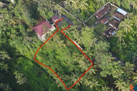 Земельный участок в Gianyar, Гианьяр, Индонезия № 11160