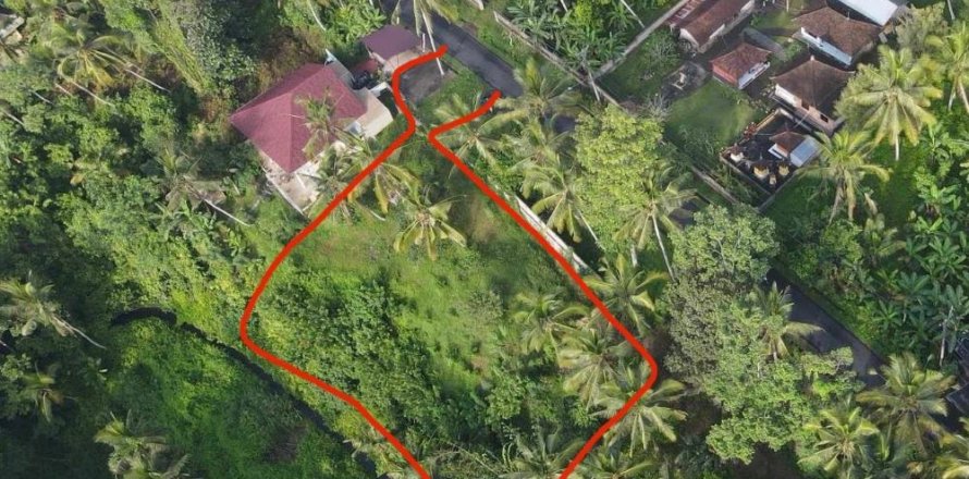 Земельный участок в Gianyar, Гианьяр, Индонезия № 11160