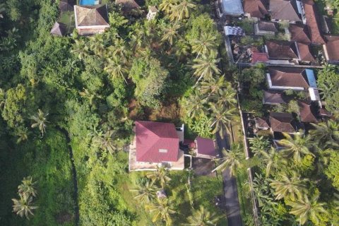 Земельный участок в Gianyar, Гианьяр, Индонезия № 11160 4