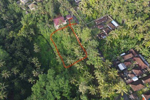 Земельный участок в Gianyar, Гианьяр, Индонезия № 11160 3