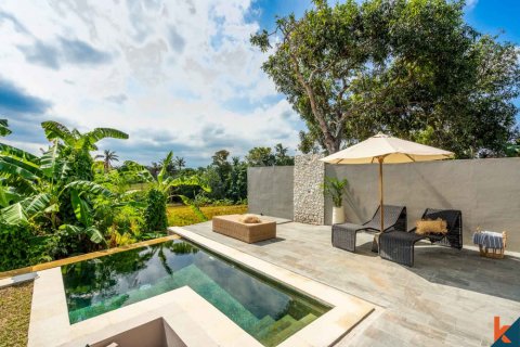 2 bedrooms Villa in Tumbak Bayuh, Mengwi, Badung, Indonesia No. 11159 4