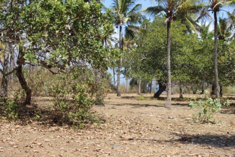Земельный участок в Karangasem, Карангасем, Индонезия № 11707 6