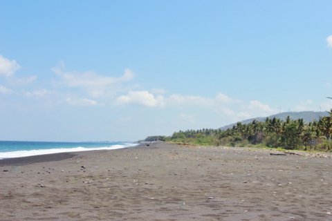 Земельный участок в Karangasem, Карангасем, Индонезия № 11707 2