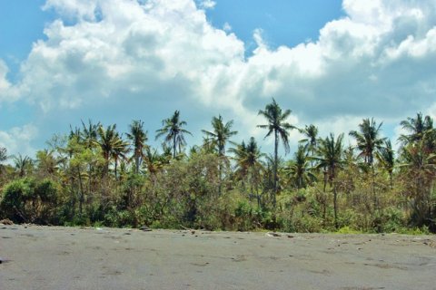 Земельный участок в Karangasem, Карангасем, Индонезия № 11707 7