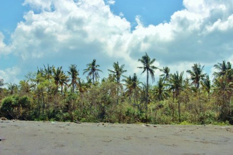 Земельный участок в Karangasem, Карангасем, Индонезия № 11707 13