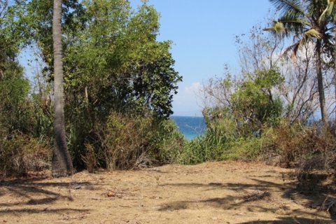 Земельный участок в Karangasem, Карангасем, Индонезия № 11707 14