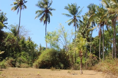 Земельный участок в Karangasem, Карангасем, Индонезия № 11707 5