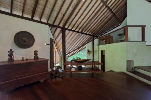 1192m2 Villa in Denpasar, Indonesia No. 13708 7