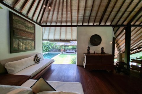 1192m2 Villa in Denpasar, Indonesia No. 13708 5