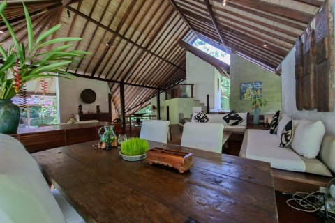 1192m2 Villa in Denpasar, Indonesia No. 13708 4
