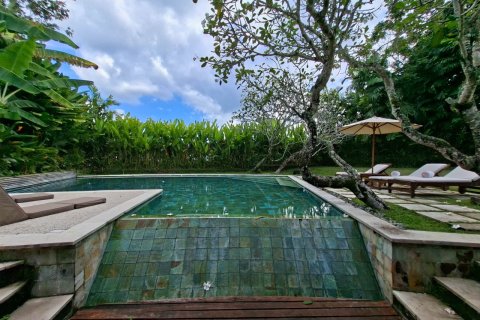 1192m2 Villa in Denpasar, Indonesia No. 13708 30