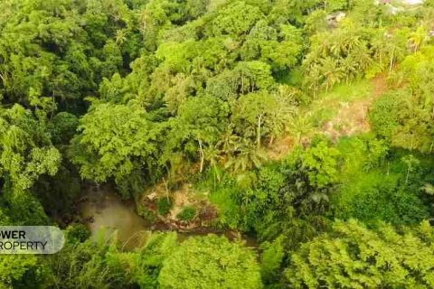 500m2 Land in Tabanan, Indonesia No. 13336 4