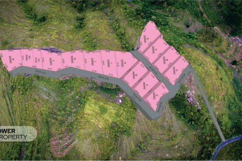 500m2 Land in Nusa Penida, Klungkung, Indonesia No. 13339 14