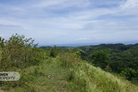 500m2 Land in Nusa Penida, Klungkung, Indonesia No. 13339 2