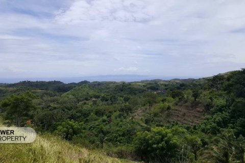 500m2 Land in Nusa Penida, Klungkung, Indonesia No. 13339 4