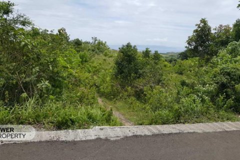 500m2 Land in Nusa Penida, Klungkung, Indonesia No. 13339