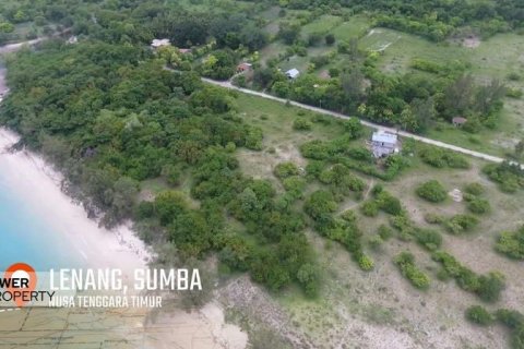 1100m2 Land in Indonesia No. 13335 3