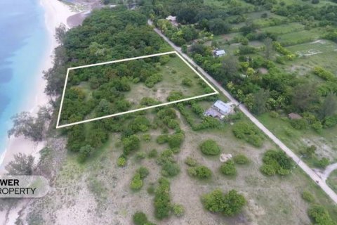 1100m2 Land in Indonesia No. 13335