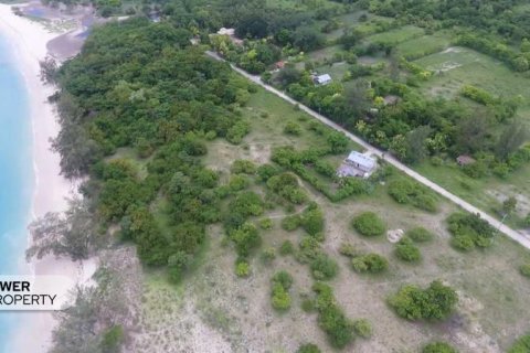 1100m2 Land in Indonesia No. 13335 2