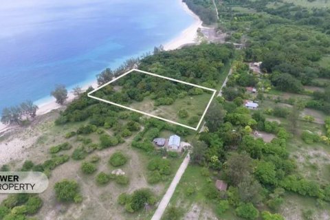 1100m2 Land in Indonesia No. 13335 11