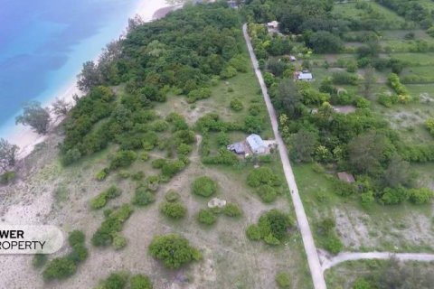 1100m2 Land in Indonesia No. 13335 13