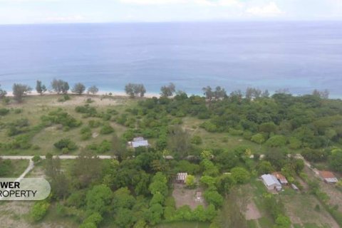 1100m2 Land in Indonesia No. 13335 8