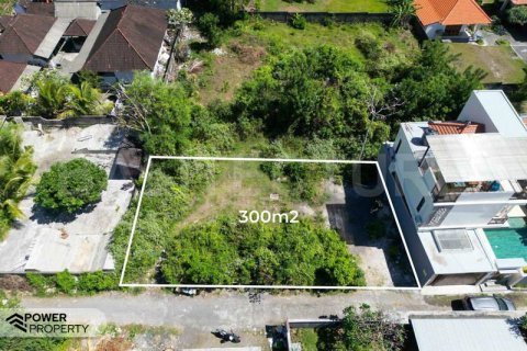 300m2 Land in Nusa Dua, Badung, Indonesia No. 13334 4