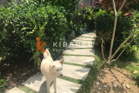 3 bedrooms Villa in Tumbak Bayuh, Mengwi, Badung, Indonesia No. 12991 5