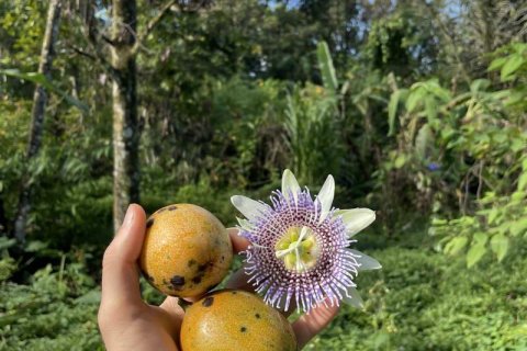 9400m2 Land in Lovina, Anturan, Buleleng,  No. 9384 3