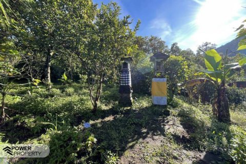 9400m2 Land in Lovina, Anturan, Buleleng,  No. 9384 5